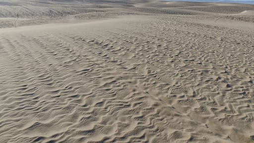 vast sand dunes on Pacific Ocean coast Oceano Dunes State Vehicular Recreation Area, San Luis Obispo county, California, USA