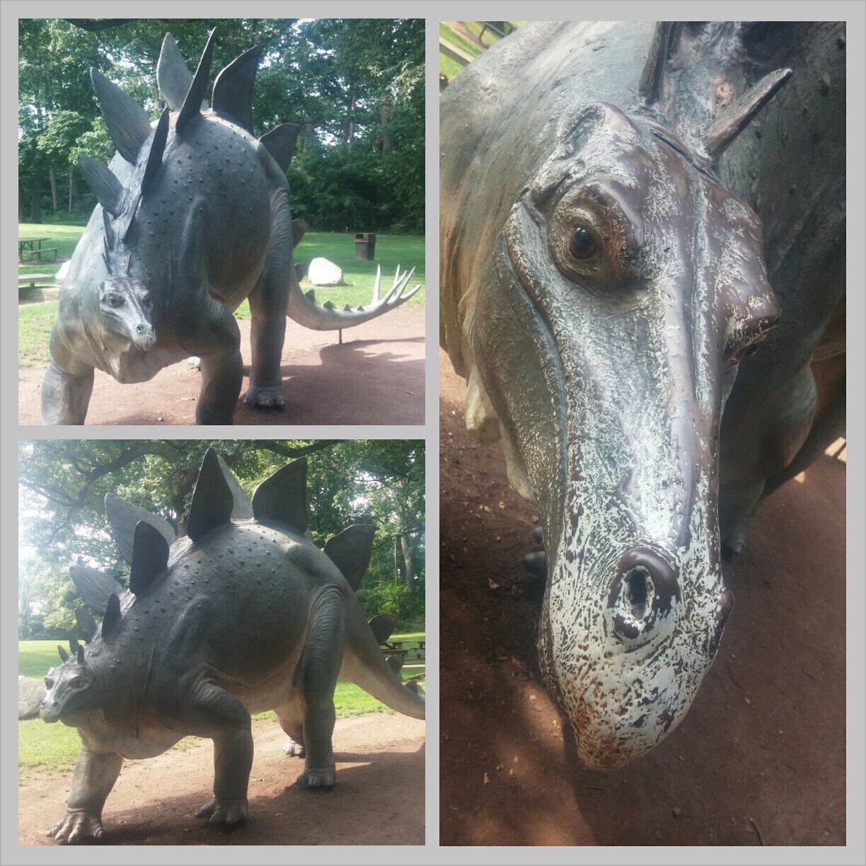 This is Steggie II, a life size casting of a Stegosaurus. The first Steggie, created by New York sculptor Paul Jonas for the 1964-65 World's Fair in New York, was retired when the Museum commissioned an identical copy from the original casts in 1997. Now refurbished, the original resides at the Berkshire Museum in Pittsfield, Massachusetts, where it is called "Wally" in honor of Stegosaurus' walnut-sized brain—estimated to weigh just 2.5 ounces.