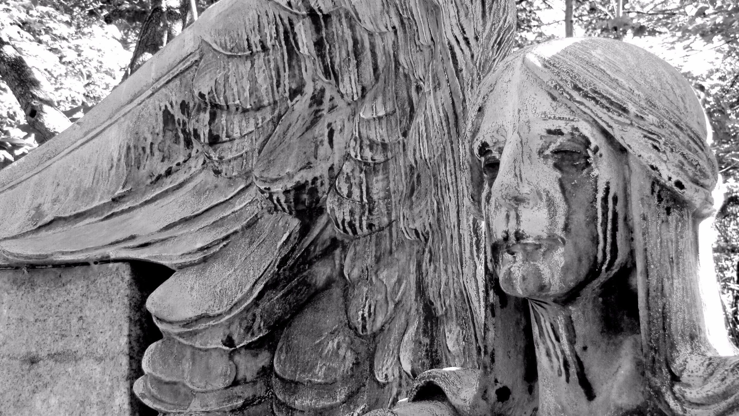 The Haserot Angel - This is a famous grave marker for the Haserot family.  The angel has weathered over time and appears to be weaping.