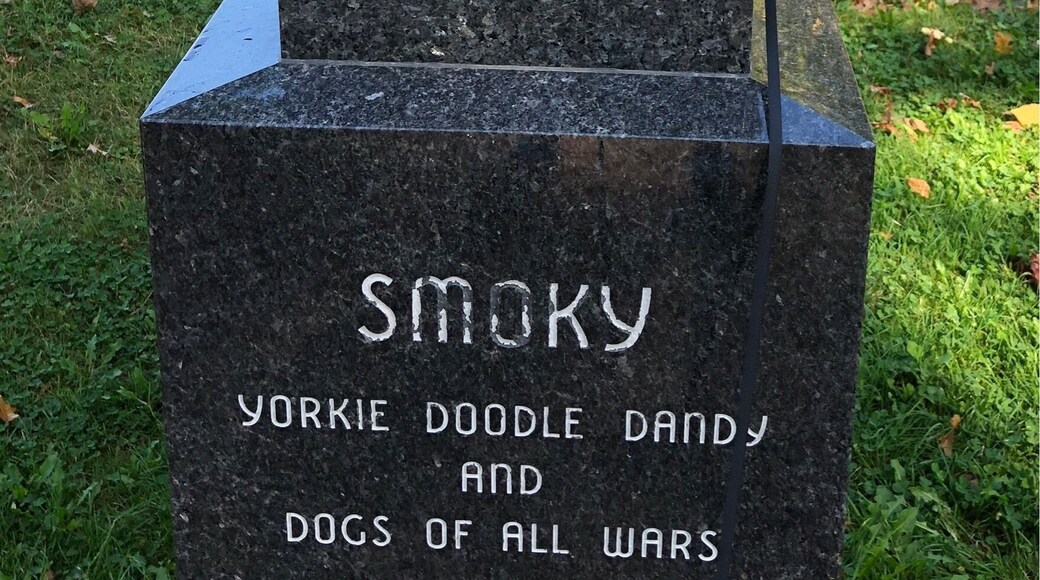 The Cleveland Metro Parks are awesome. Loved this statue to honor dogs of war. There is a great paved multipurpose trail that runs right through here.