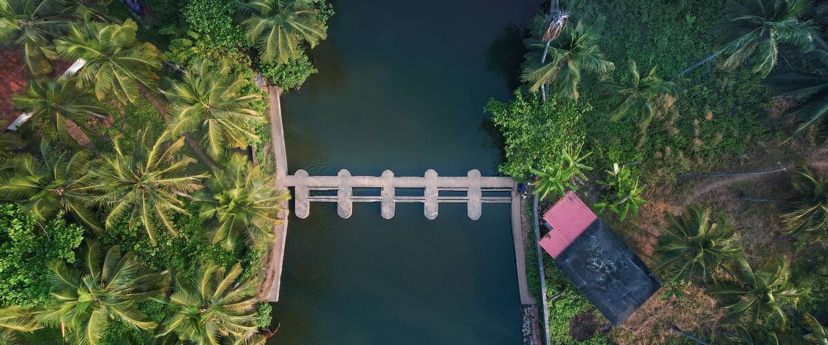 An aerial view of a waterway with a wooden bridge, surrounded by dense palm trees and greenery.