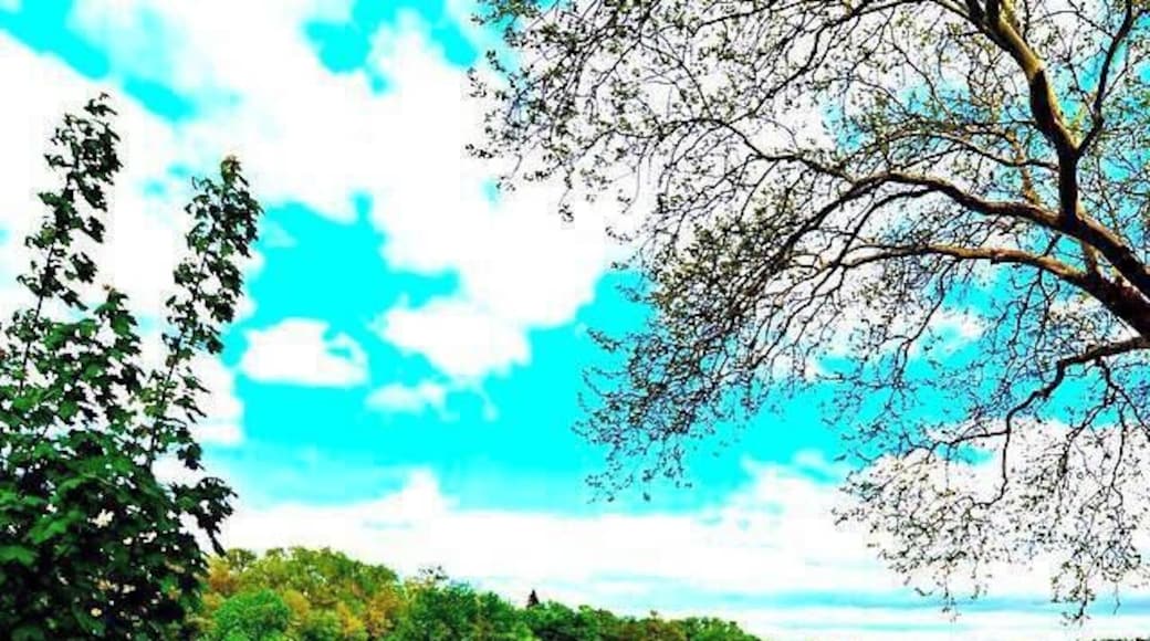 This photo was taken of the Delaware River, as seen from the McDade Recreational Trail in Milford, Pennsylvania. The Delaware River is the USA's longest un-dammed river east of the Mississippi, with a rich history as Native Americans made use of its waters. It's also full of recreational opportunities, like hiking along it, kayaking and tubing. Milford is one place to enjoy it's beauty, accessible on foot or by bike from most parts of the borough. #travel #AmazonDestinations #spon