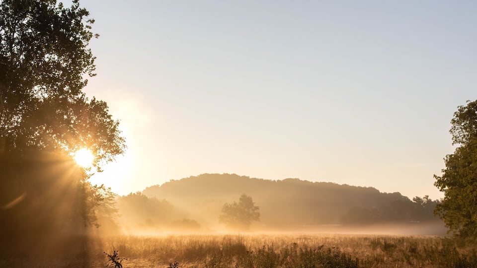 Landscape of a meadow during the sunrise in Lewisburg