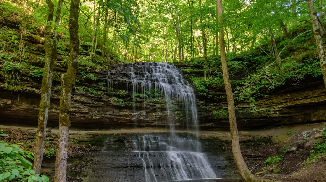 Stillhouse Hollow Falls - Tennessee State Park