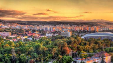 A cityscape with a stadium, buildings, and mountains in the background.