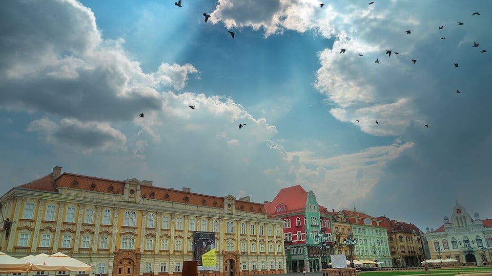 Pigeos flying on top of Piata Unirii.
Got a day to visit Timisoara? Check out my day guide: http://www.alwayswanderlust.com/a-day-in-timisoara-romania-little-vienna/