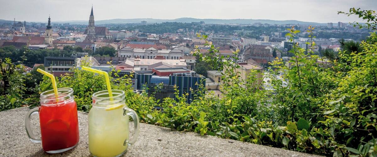 up from cetatuie, view over city