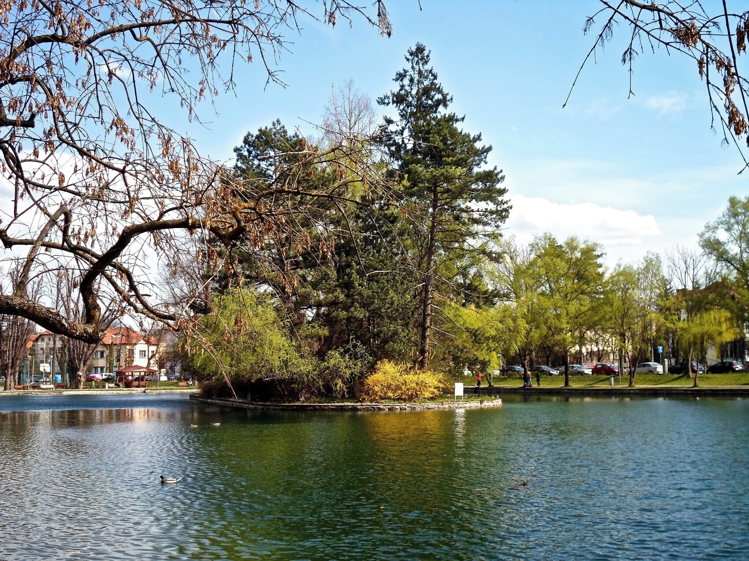 Un lago con un pato, rodeado de árboles y un parque con bancos.