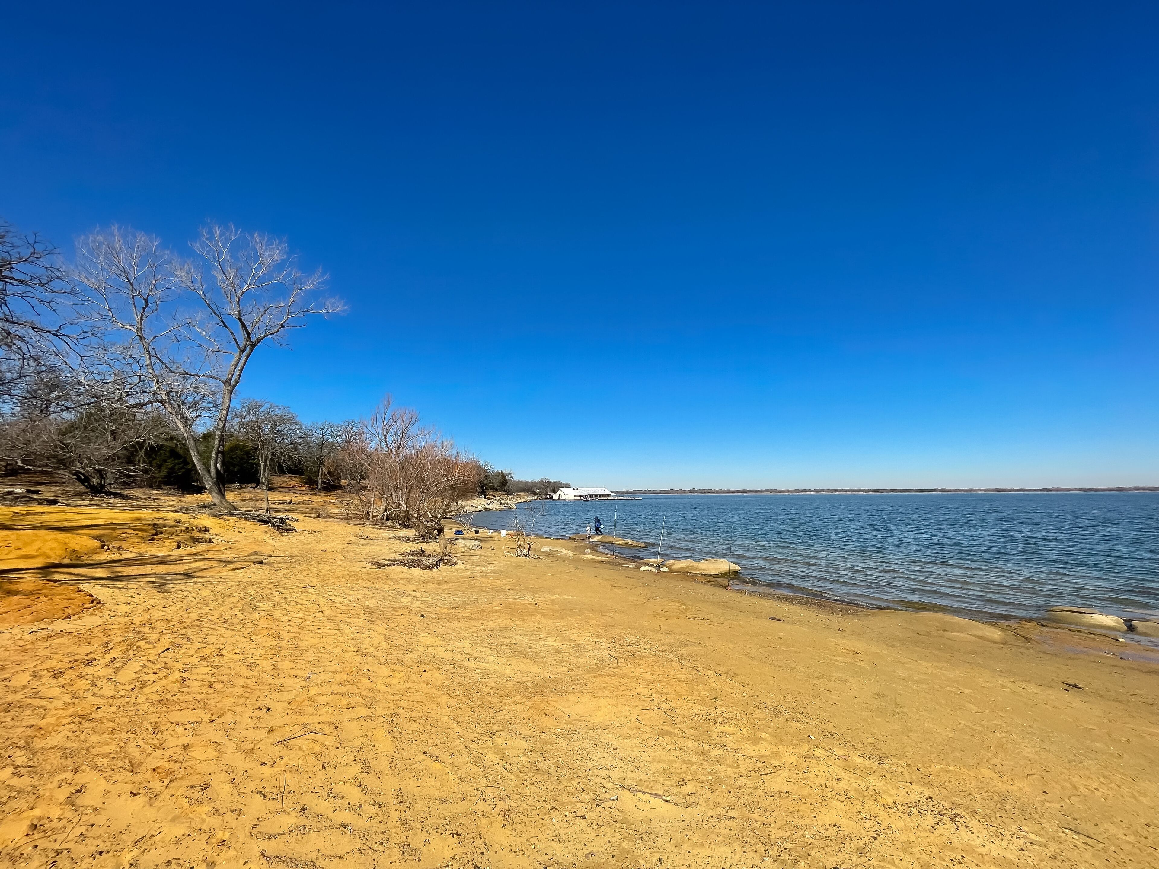 Beautiful sandy shoreline of Lake Lewisville, Texas, USA with row of fishing rods in wintertime in a sunny clear blue sky day