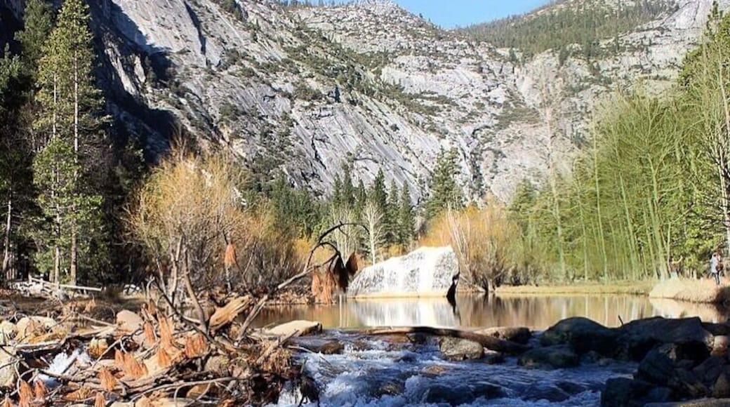Mirror lake is more of a pond now, yet still absolutely breathtaking!! It's one of the easier hikes in Yosemite being only about 2 miles!!