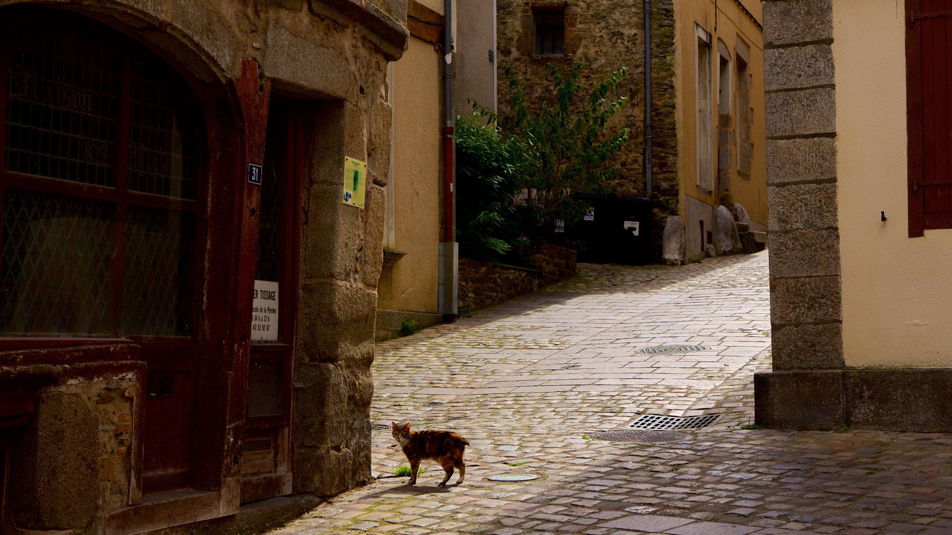 Laval mettant en vedette animaux domestiques ou inoffensifs et patrimoine historique