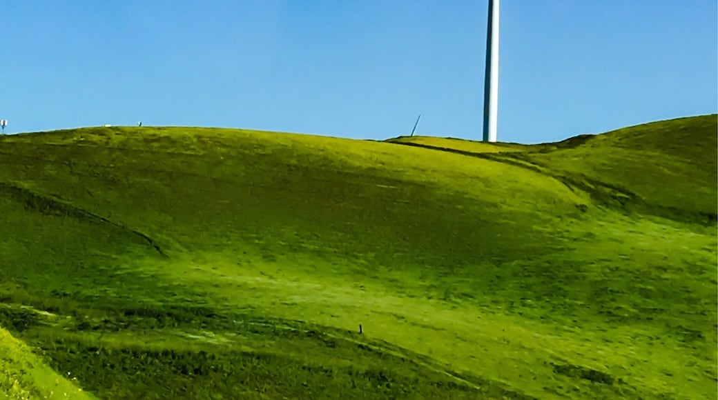 Wind turbine farm at Altamont Pass highway 140 #green