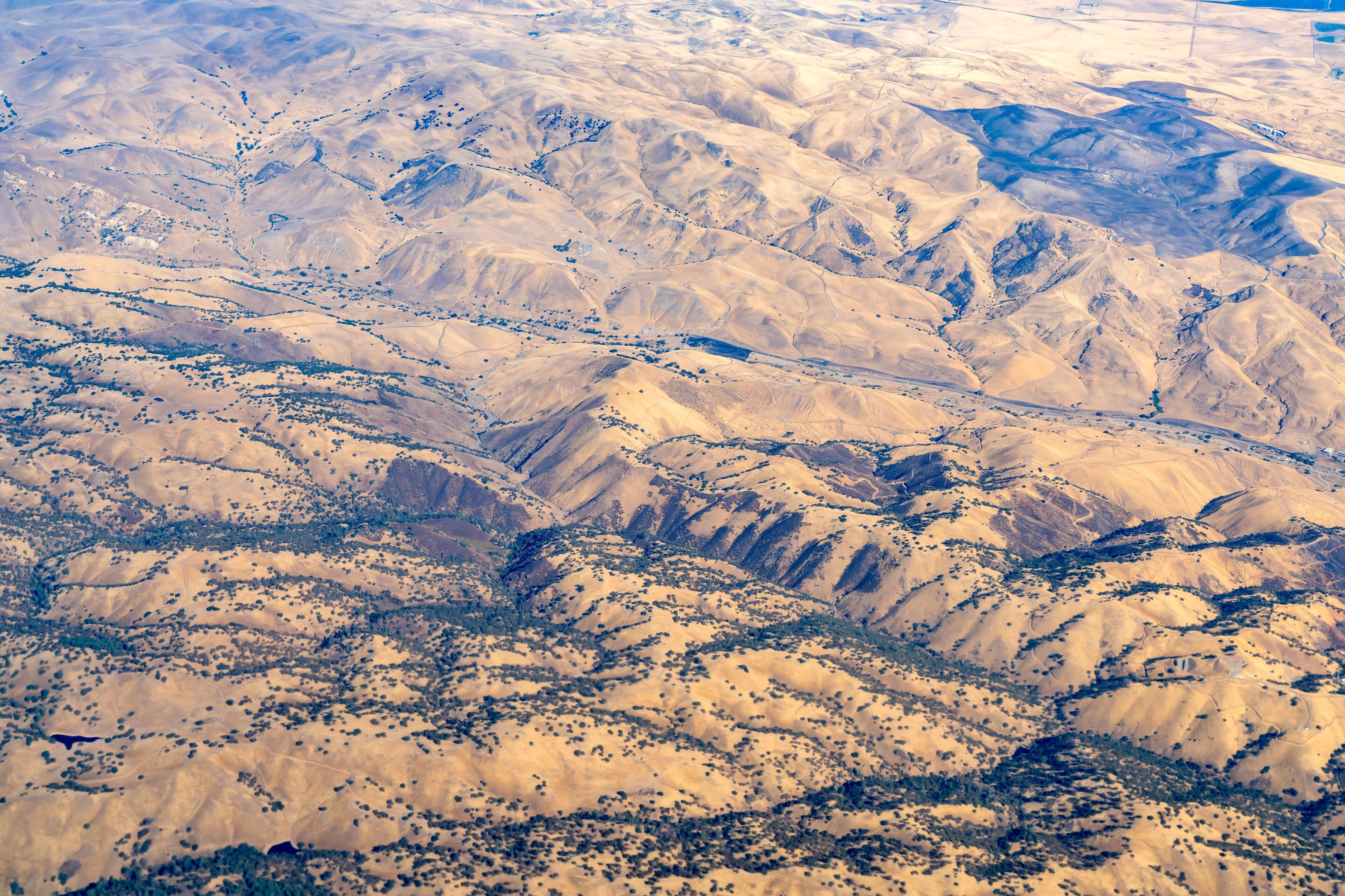 Livermore