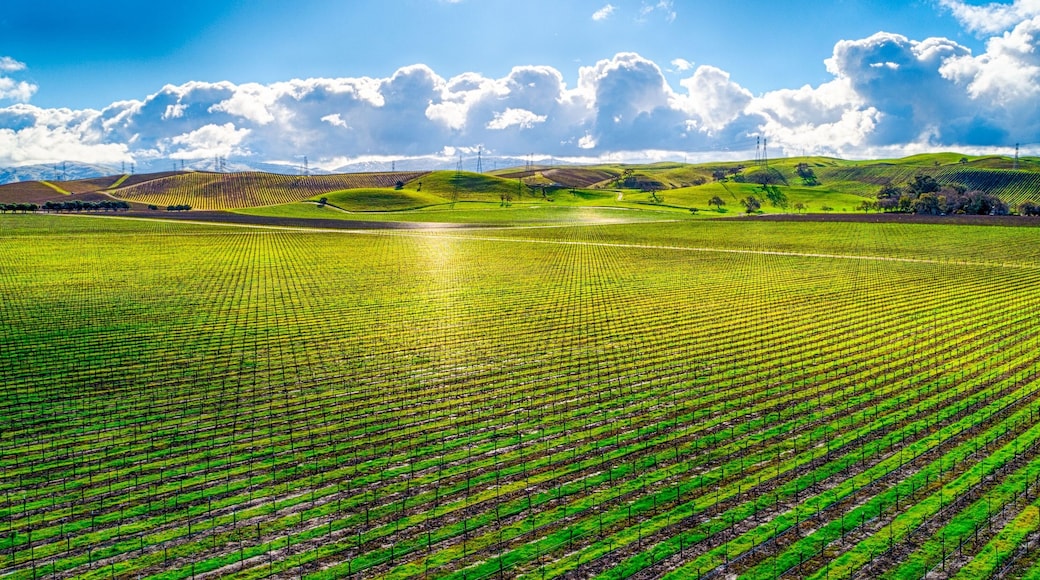 Gorgeous view of a vast, vibrant green field under a bright cloudy sky in the countryside