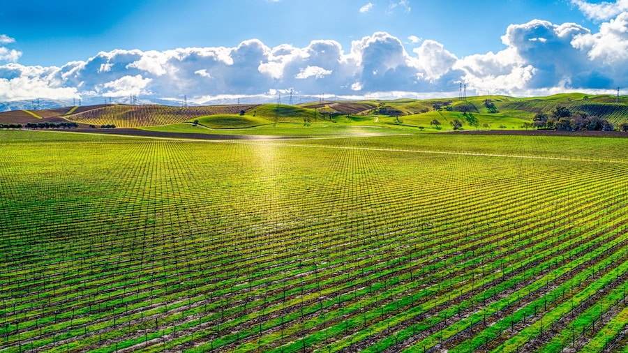Gorgeous view of a vast, vibrant green field under a bright cloudy sky in the countryside