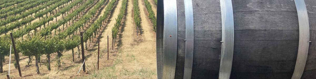 Wine tasting in our
old backyard.