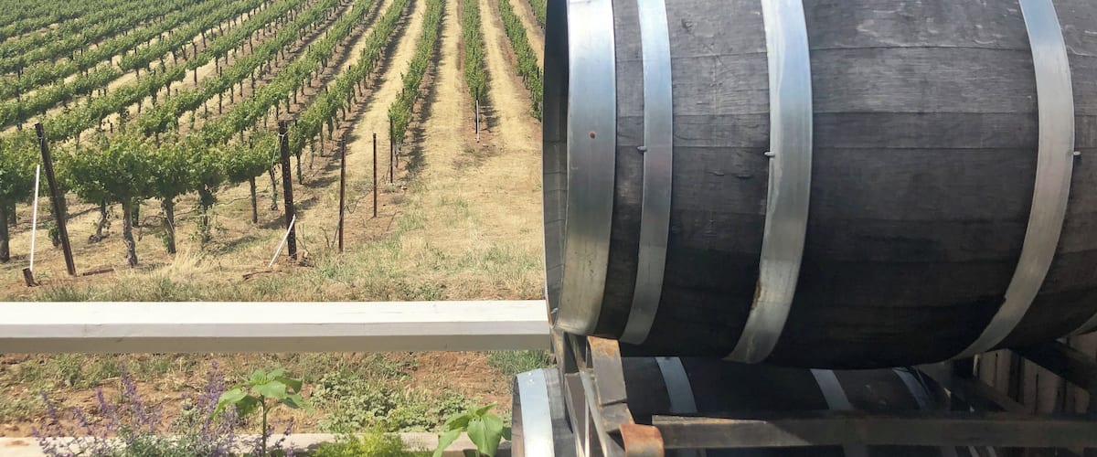 Wine tasting in our
old backyard.