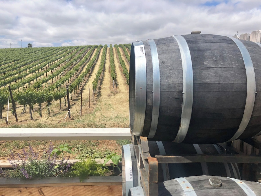 Wine tasting in our
old backyard.