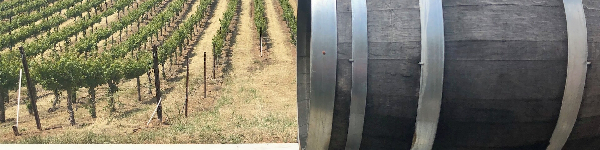 Wine tasting in our
old backyard.