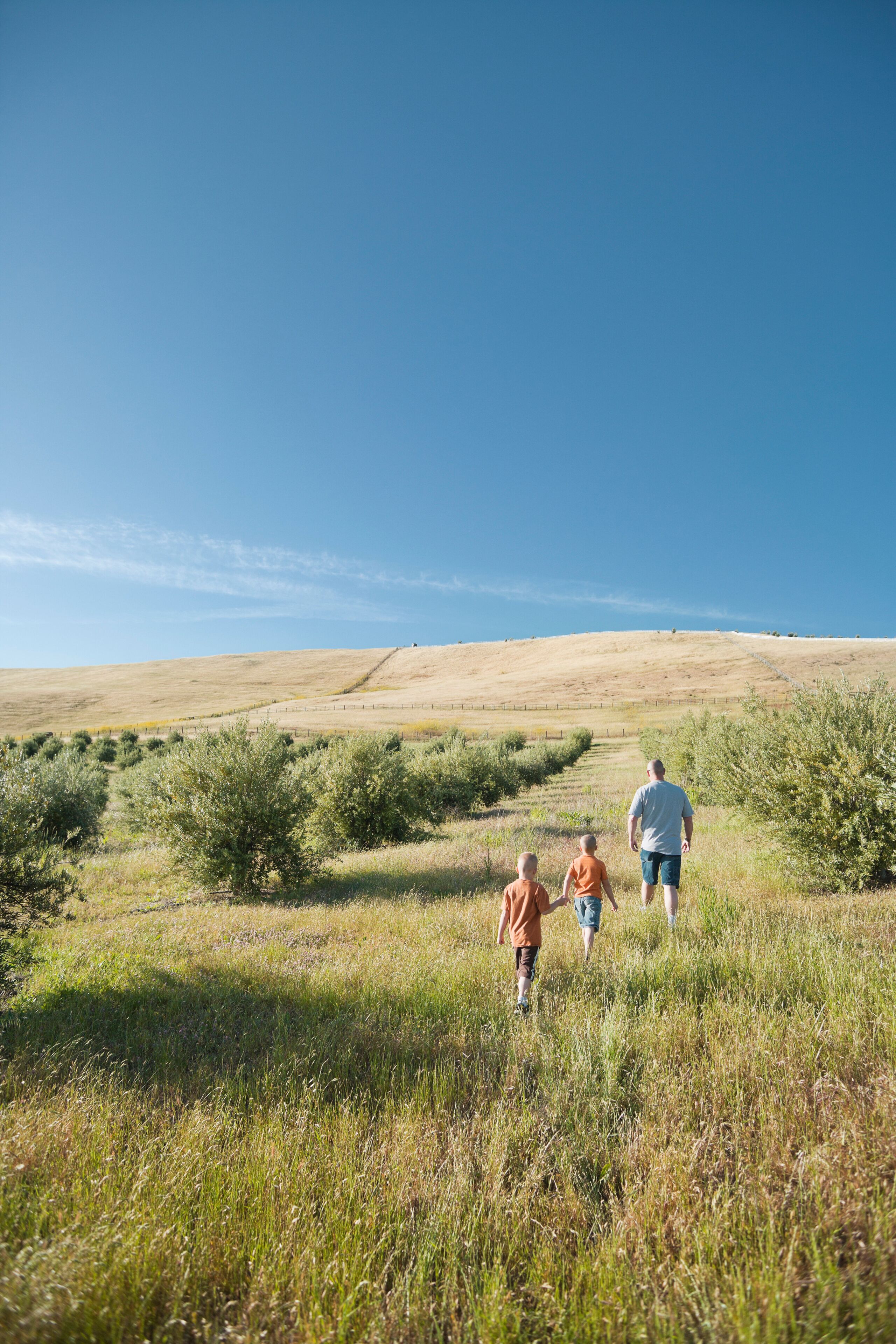 A man and two children walking on a grassy field with a clear blue sky.