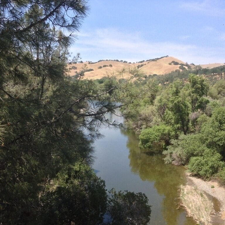 This sweet stream setting is soothing to the eyes and calmimg for the spirit. The Tree People love it here. There are a wide variety and of birds, too.