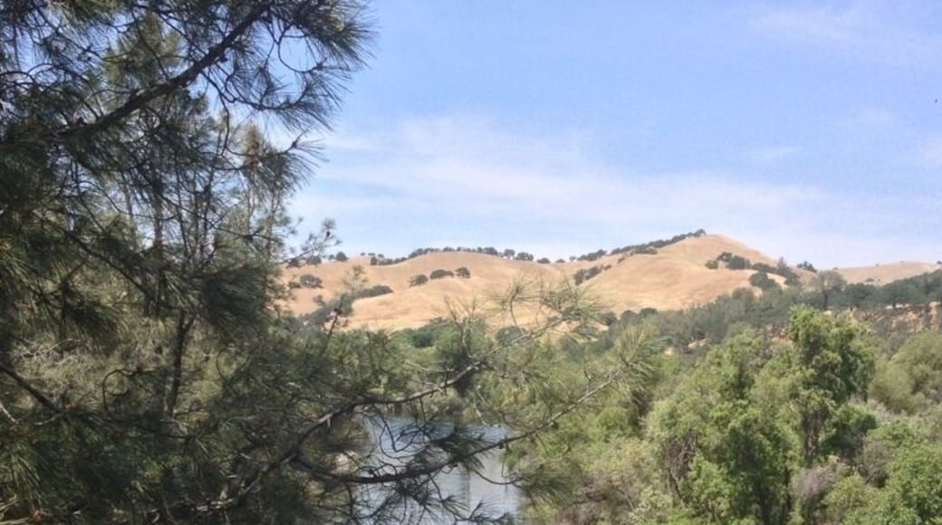 This sweet stream setting is soothing to the eyes and calmimg for the spirit. The Tree People love it here. There are a wide variety and of birds, too.