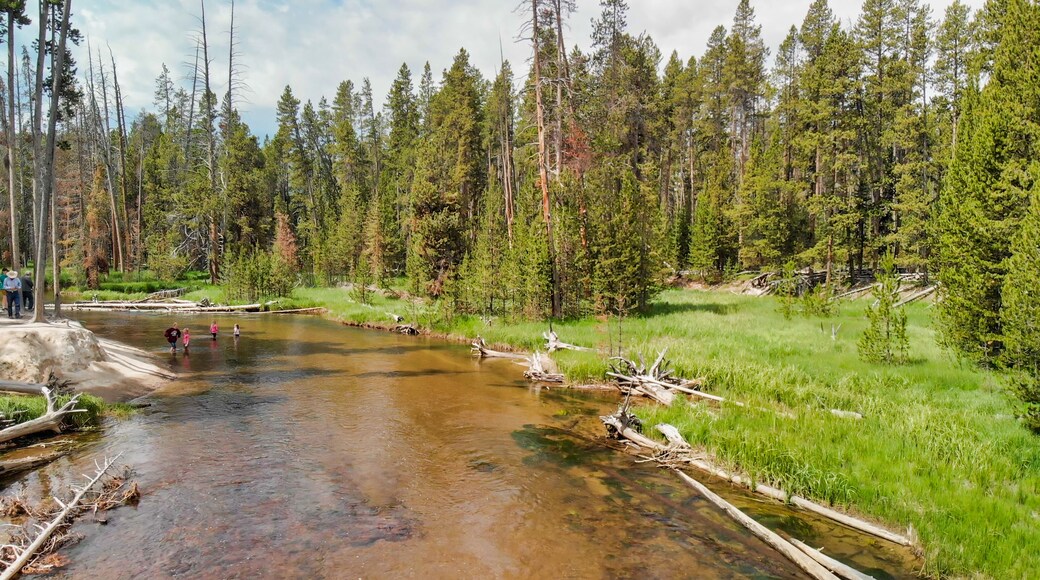Aerial view of Yellowstone River on a summer day