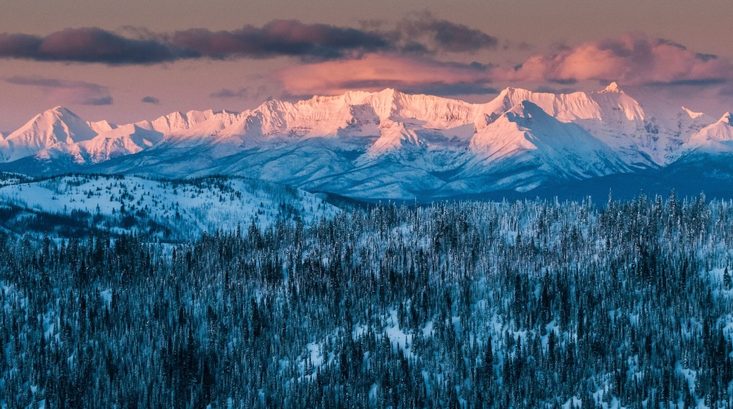 Alpine glow on the Livingston Range, Montana.