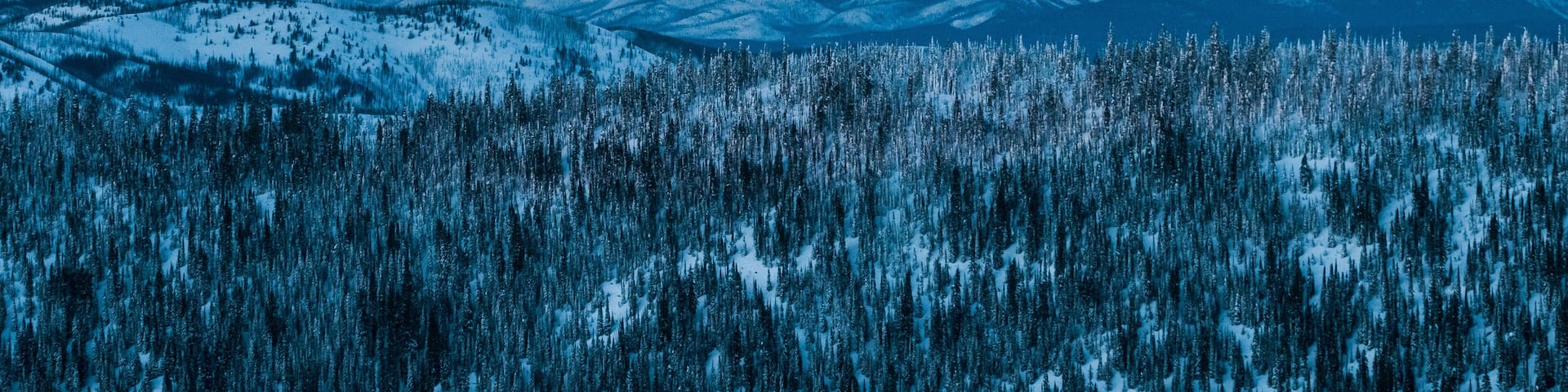 Alpine glow on the Livingston Range, Montana.