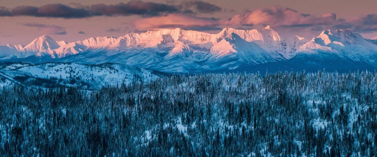A snow-covered mountain range with a dense forest in the foreground.