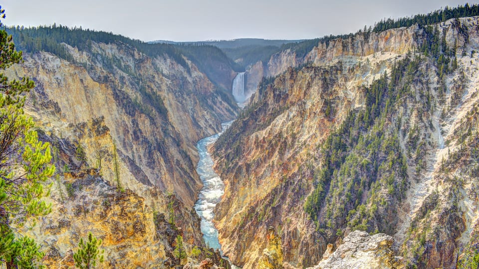 A canyon with a river flowing through it, surrounded by forested mountains.