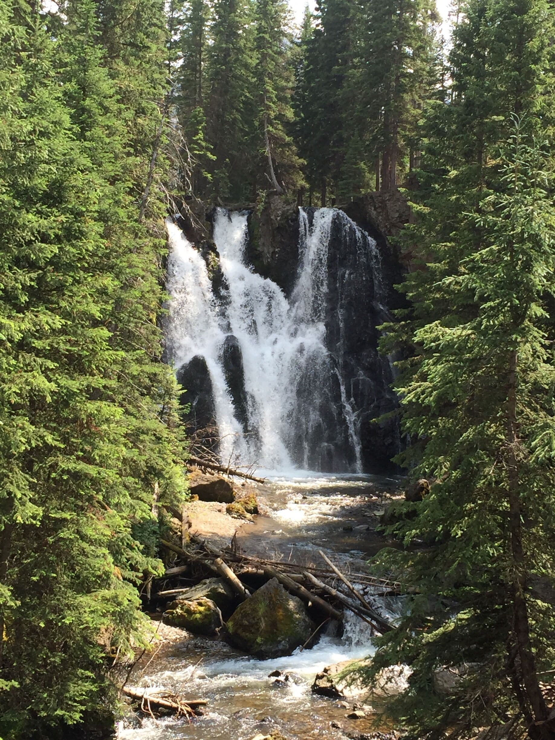 Traveling on the 89S towards Yellowstone, turn left on Mill Creek Road and follow it approximately 18 miles to the Passage Creek Trailhead. The falls are a beautiful 2.5 mile hike through a burn area from a 2007 fire. There are tons of snags but the wildflowers and smaller growth have taken over what was once a dense pine forest. Getting down to the falls is a bit of a scree scramble, but the beauty is worth the effort. #waterlust #waterfalls #Montana 
