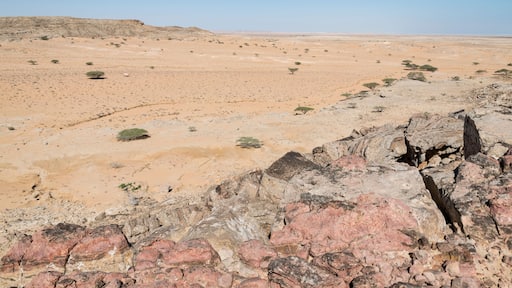 A valley in the Al Wusta Governate in the Sultanate of Oman