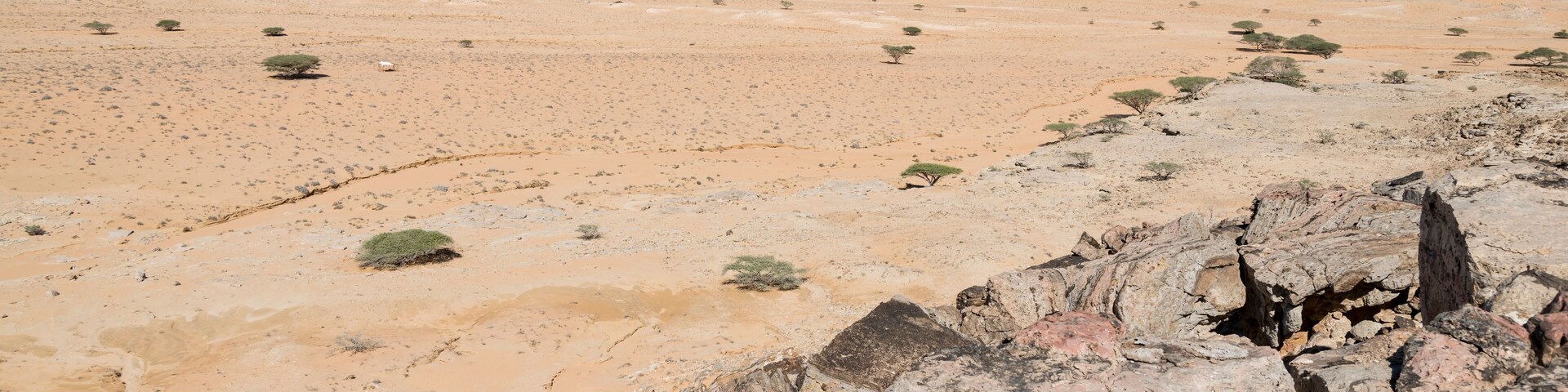 A valley in the Al Wusta Governate in the Sultanate of Oman
