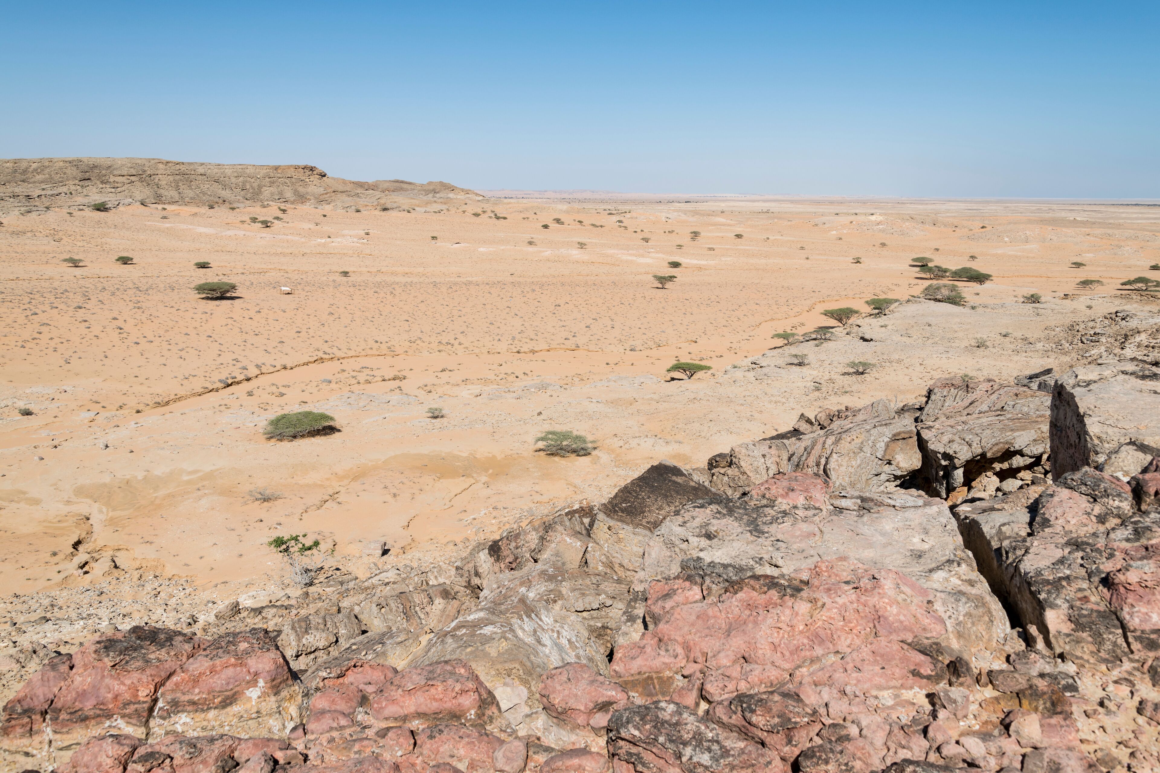 A desert landscape with rocky terrain and sparse vegetation.
