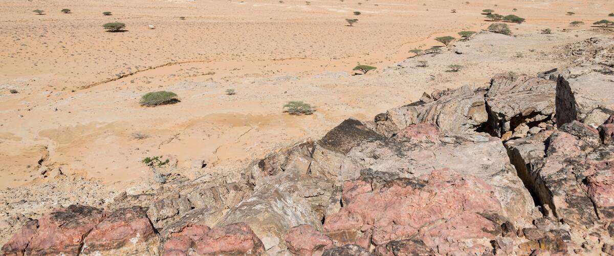 A desert landscape with rocky terrain and sparse vegetation.