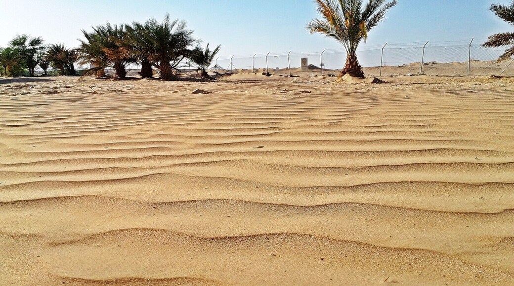 I Noticed this waves formed in the Desert of Oman and liked it.Thus Clicked for my Album.