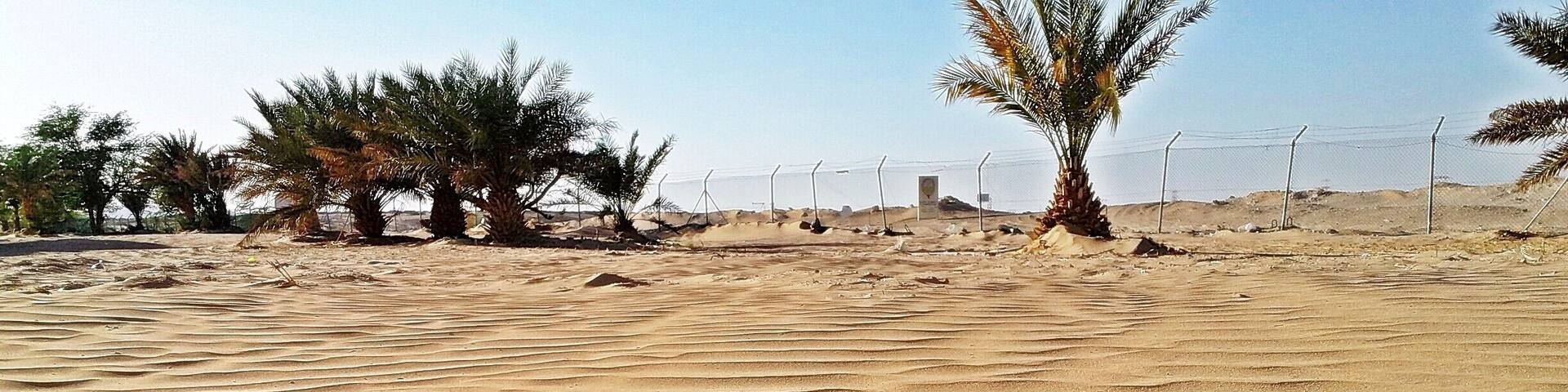 I Noticed this waves formed in the Desert of Oman and liked it.Thus Clicked for my Album.