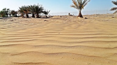 I Noticed this waves formed in the Desert of Oman and liked it.Thus Clicked for my Album.