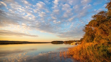 Um lago tranquilo com céu claro e árvores à direita.