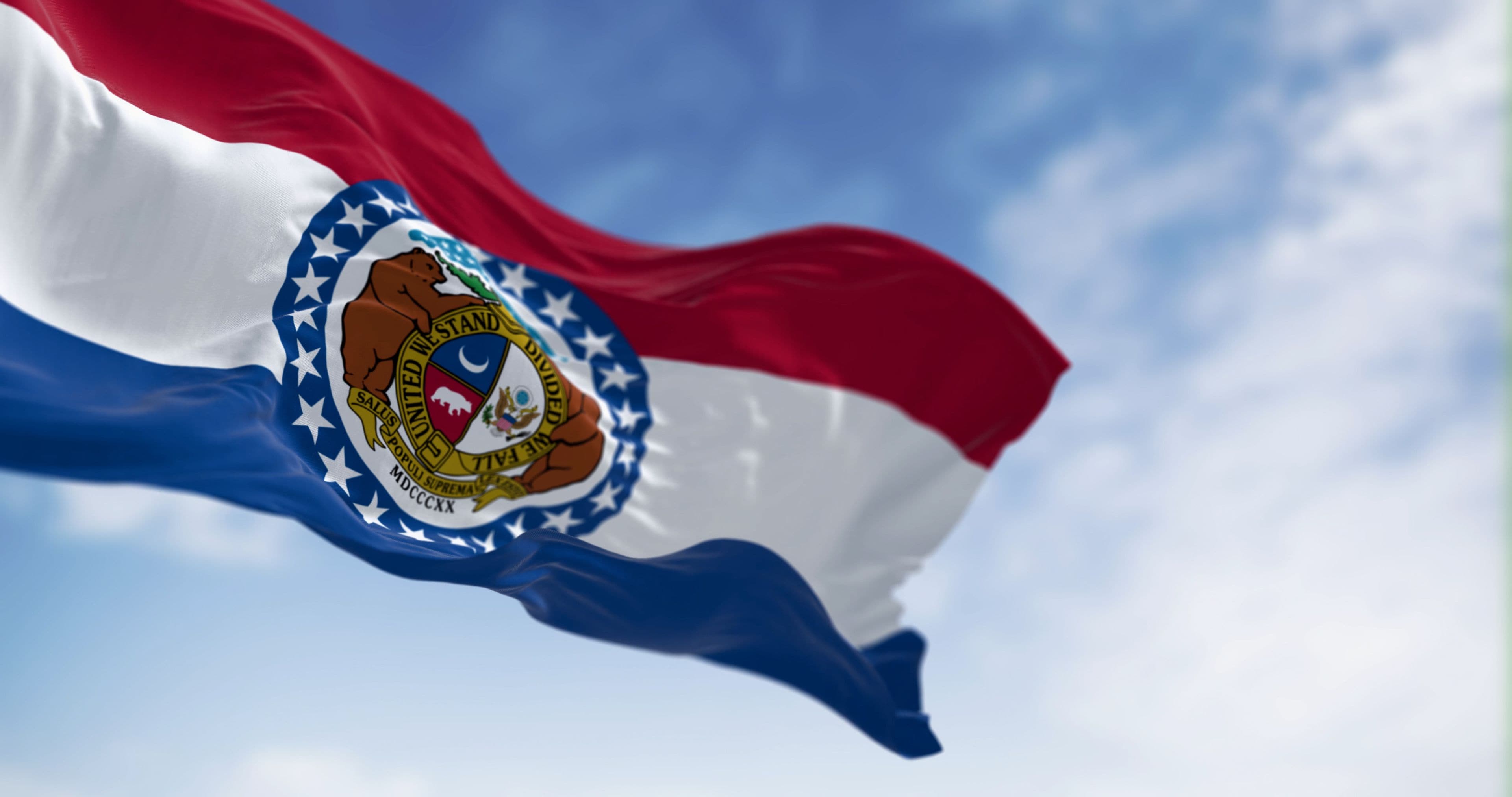 Eine Flagge mit einem detaillierten Wappen, die im klaren Himmel weht.