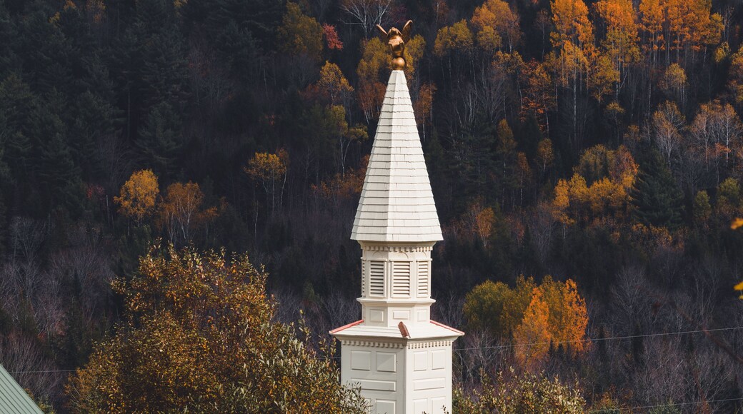 Stephen Huneck Dog Chapel