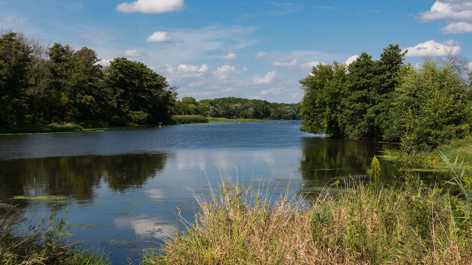 A calm river surrounded by dense trees and greenery.
