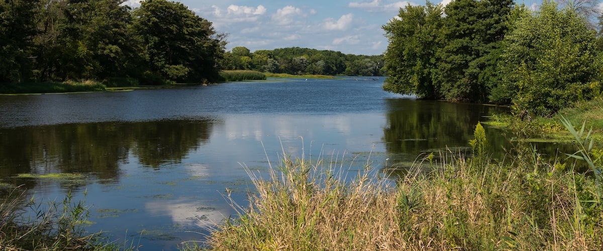 Morning on the Dupage River