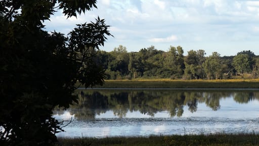 Ultra-wide panorama of Turner Lake and native prairie grasses and trees in autumn at Moraine Hills State Park in McHenry County, Illinois