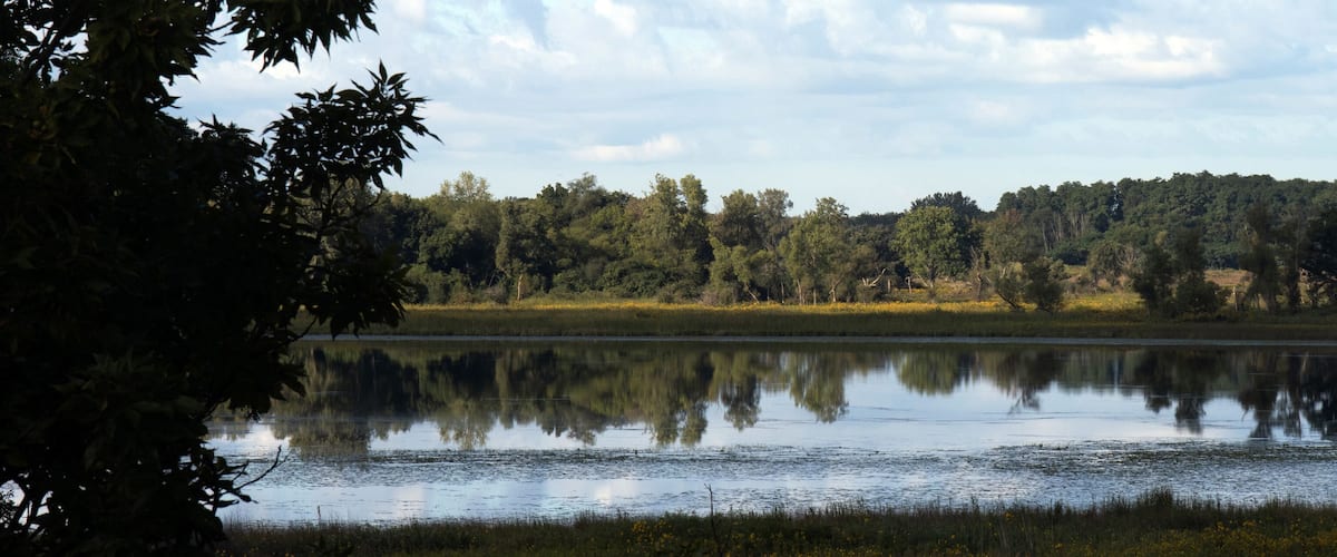 A calm lake with reflections of trees and a clear sky.