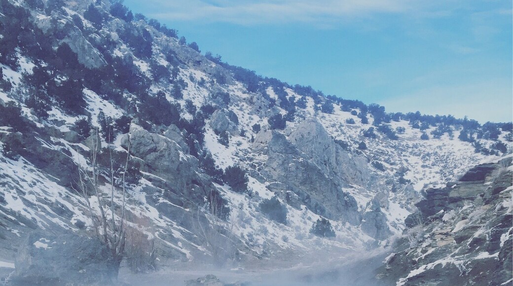 12 mile hot springs (bishop creek) 2 miles of dirt road .. High clearance vehicle needed .. You could also park and walk