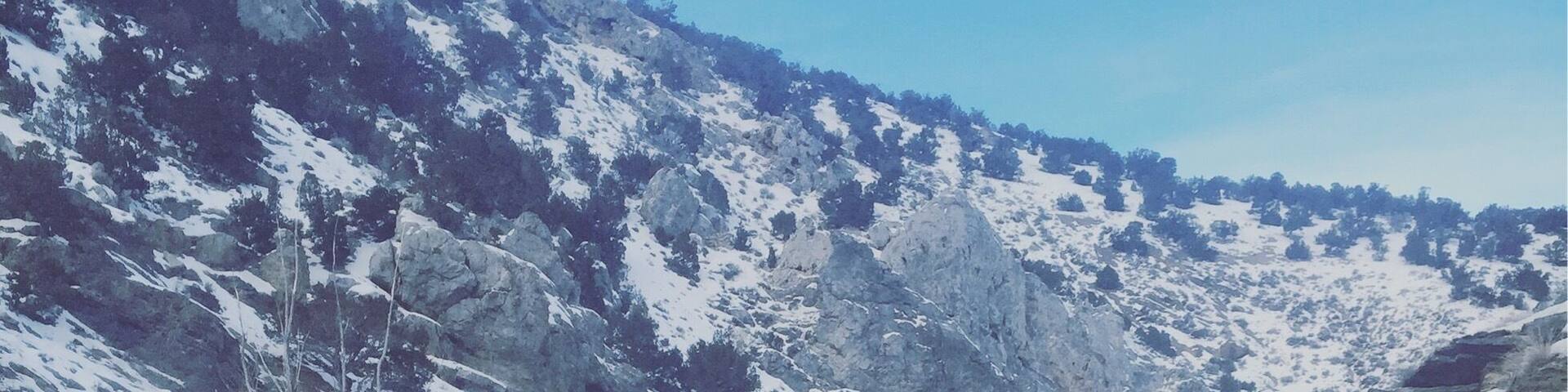 12 mile hot springs (bishop creek) 2 miles of dirt road .. High clearance vehicle needed .. You could also park and walk