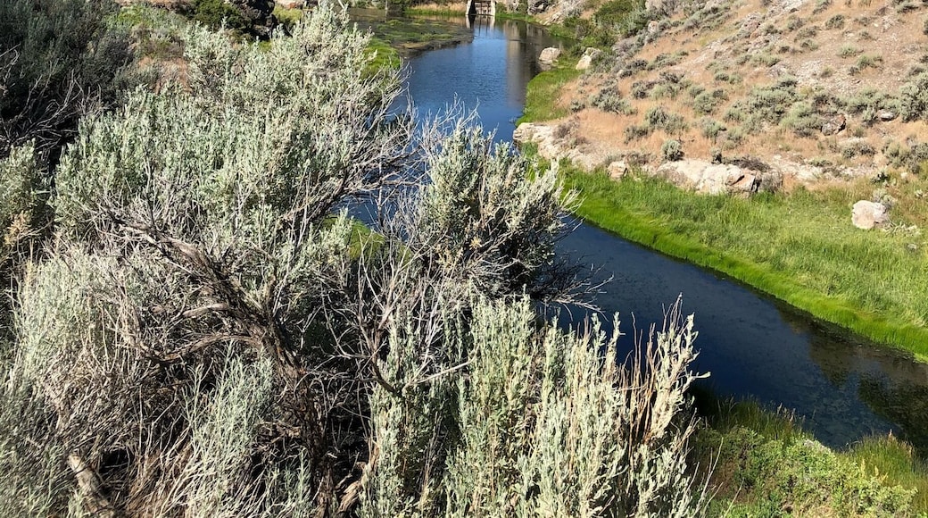 About 9 miles north of downtown