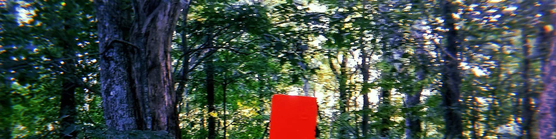 Followed a sentient crash pad into the woods for some climbing #Adventure